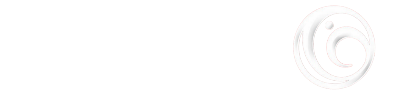 في الضمان